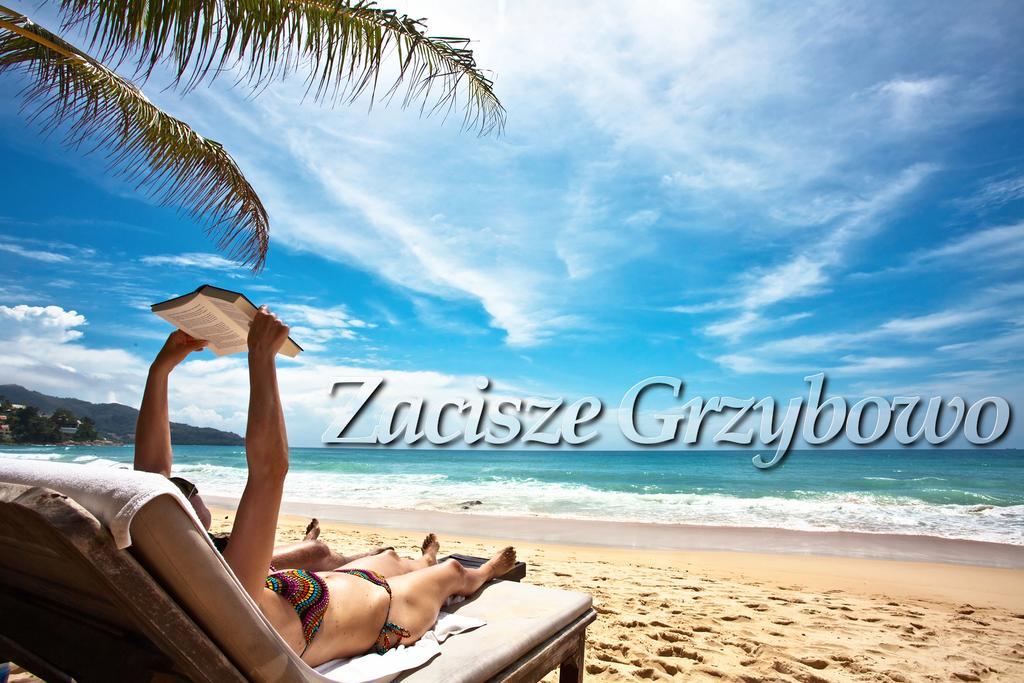 グジボボZacisze Grzybowoアパートメント エクステリア 写真